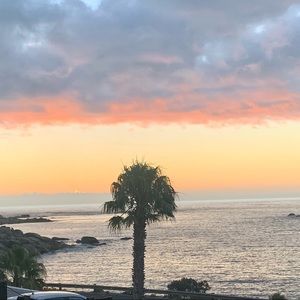 Meet your Posher, Jodi